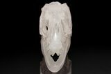 Carved Quartz Crystal Dinosaur Skull #208837-3